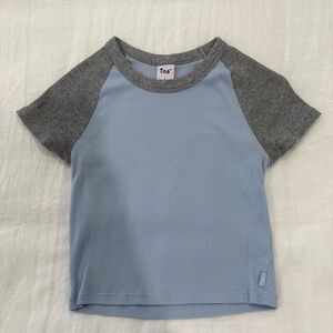 Aritzia TNA crop tee
